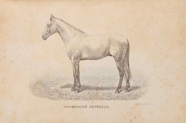 Урусов С.Л. Книга о лошади. Настольная книга для каждого коннозаводчика, коневода, коневладельца.... Т.1-4. СПб.1902.